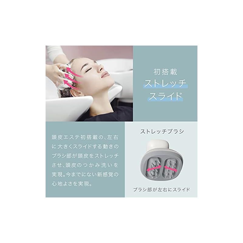 サロンタッチタイプ
