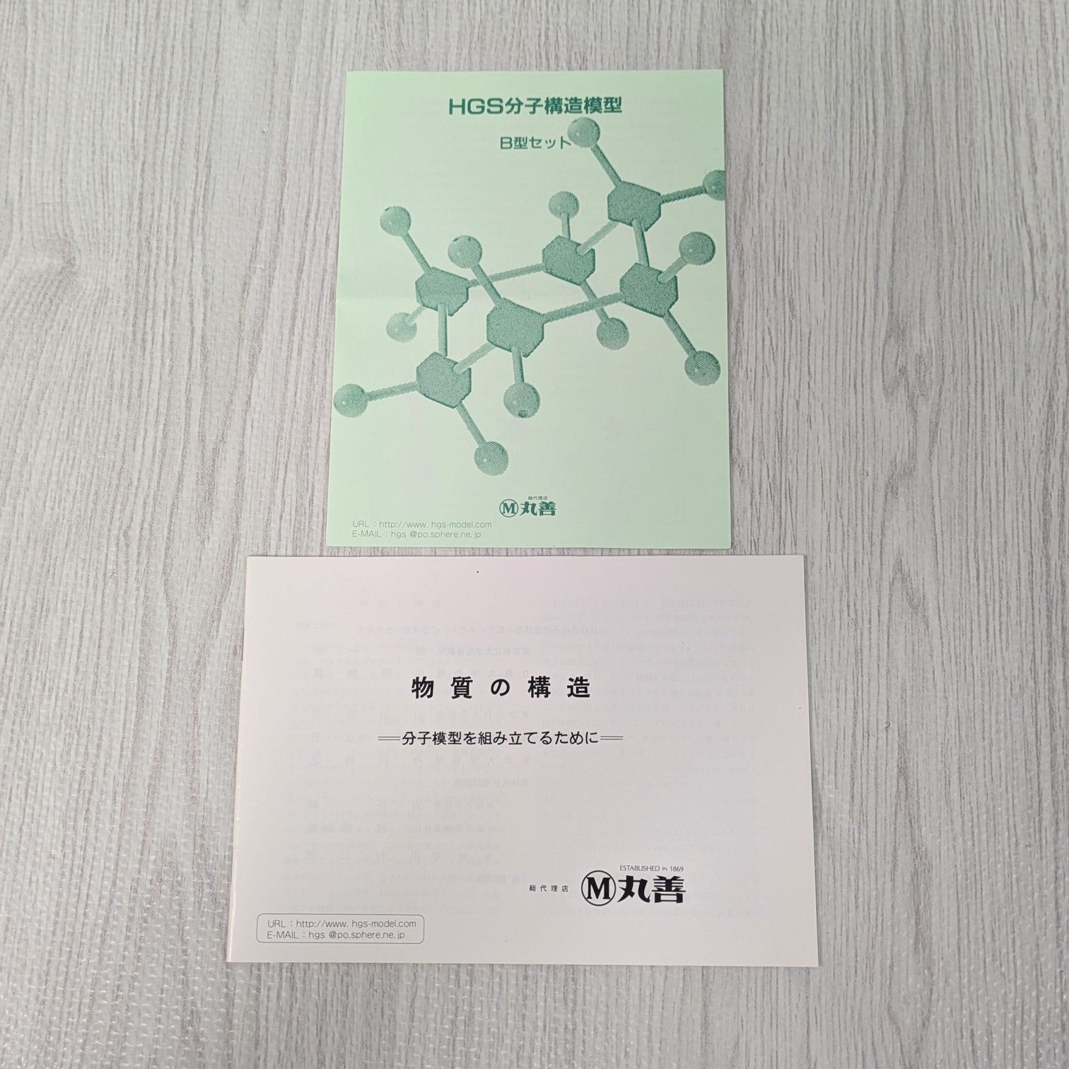 丸善HGS分子構造模型B型有機化学用セット HGS分子構造模型 B