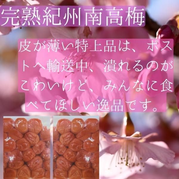 送料無料　高級完熟紀州南高梅　特上しそ梅干し　400g×2袋入り　ポスト　しそ漬け　すっぱすぎない　産地直送　和歌山県産　ポスト投函 し４A×２-2
