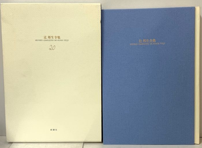 定番人気，格安 辻邦生全集 (20) 新潮社 辻 邦生 文学・小説