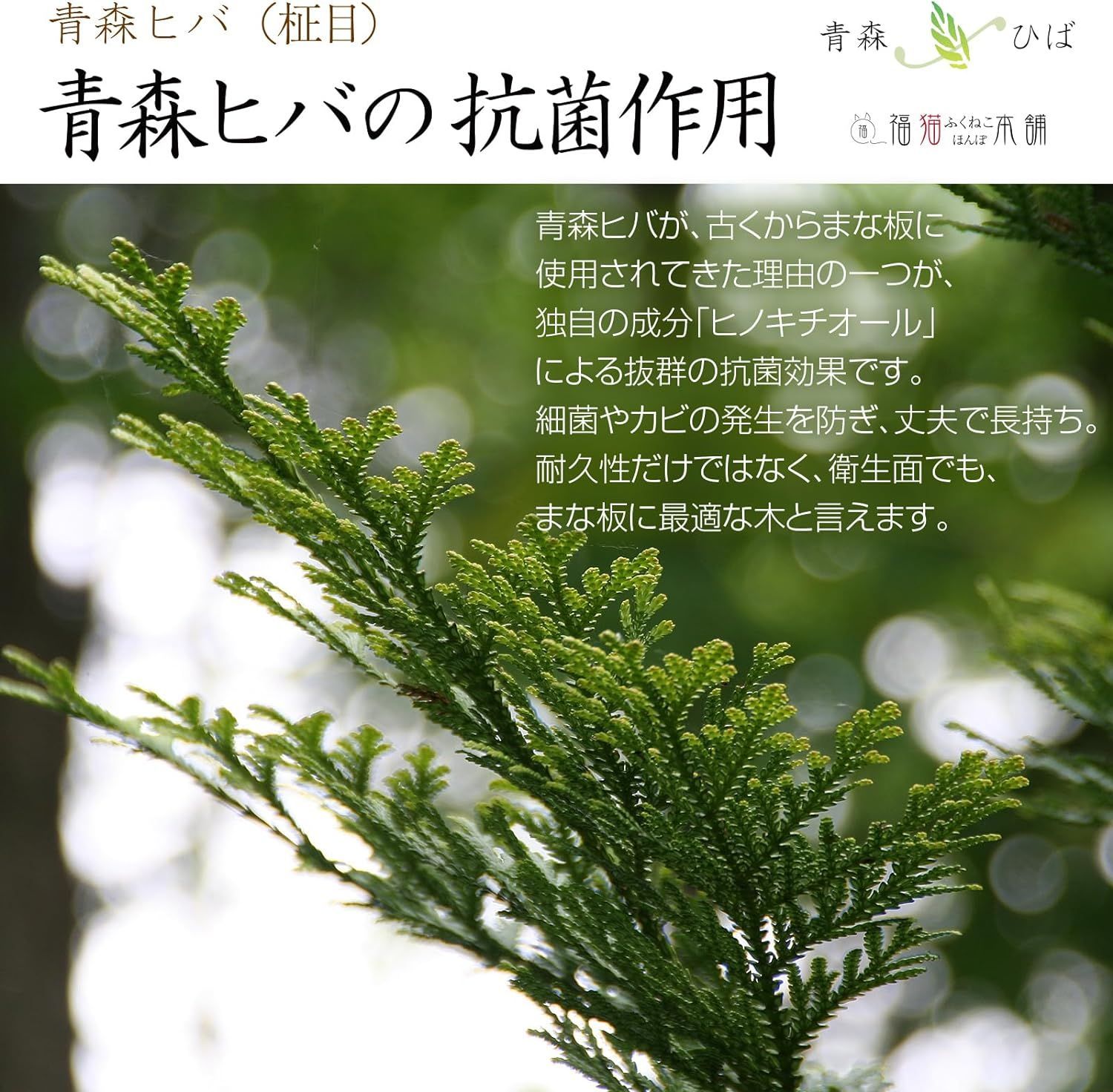 青森ヒバ無垢材 柾目
