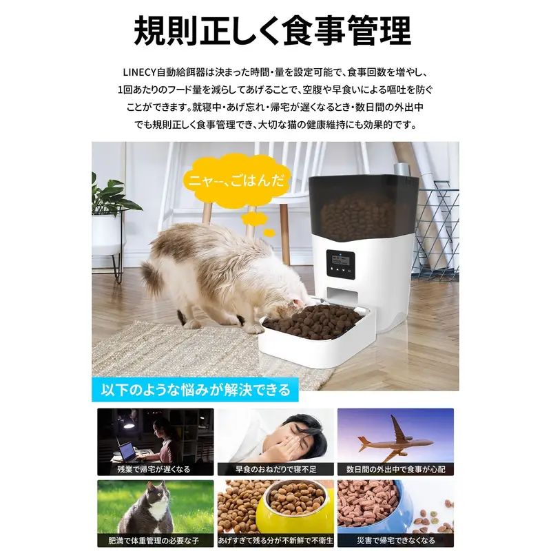 デュアル電源