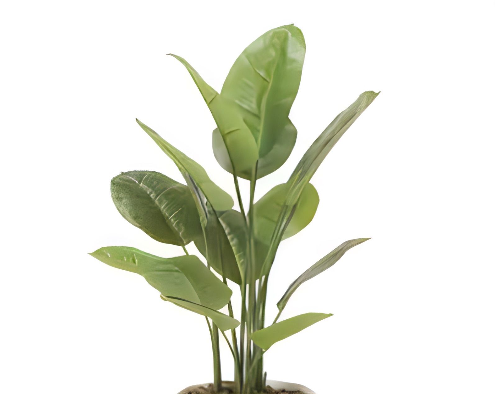 光触媒 人工観葉植物 フェイクグリーン フレッシュスキンダプサス1.0
