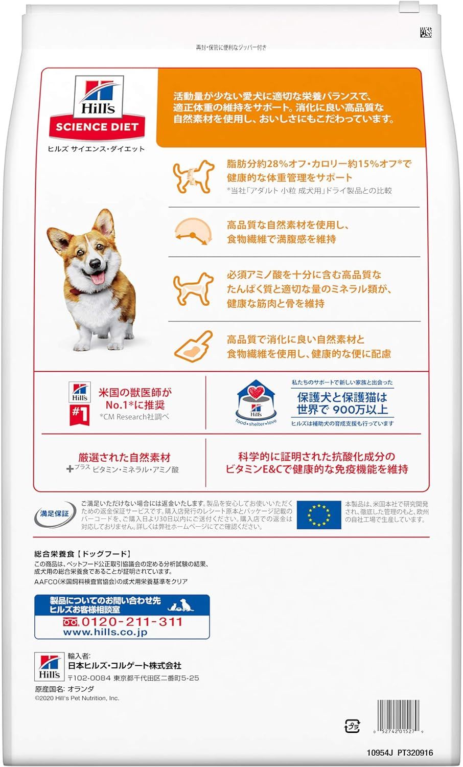 アダルト