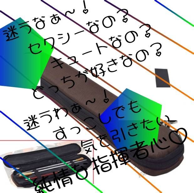 タクト 指揮棒 ケース 二本収納可能 ソフトでもケースはケース - メルカリ