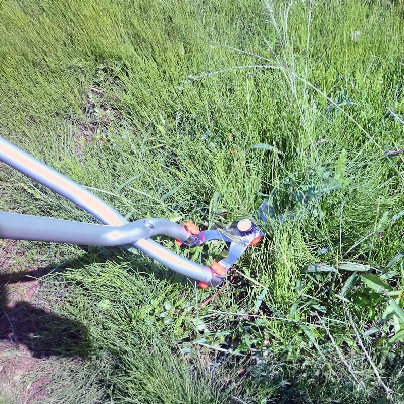 ステンレス刃 立ち作業用草刈りハサミ