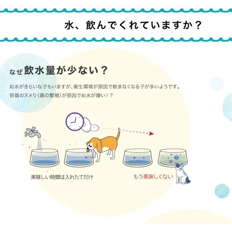 ぬめり防止 腸活