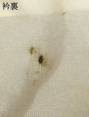 平和屋着物▽本塩沢 単衣 110亀甲 幾何学文 正絹 逸品 AAAS4934fy