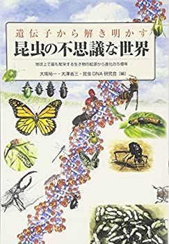 非常に良い)昆虫たちの不思議な性の世界 (大場裕一) 昆虫たちの