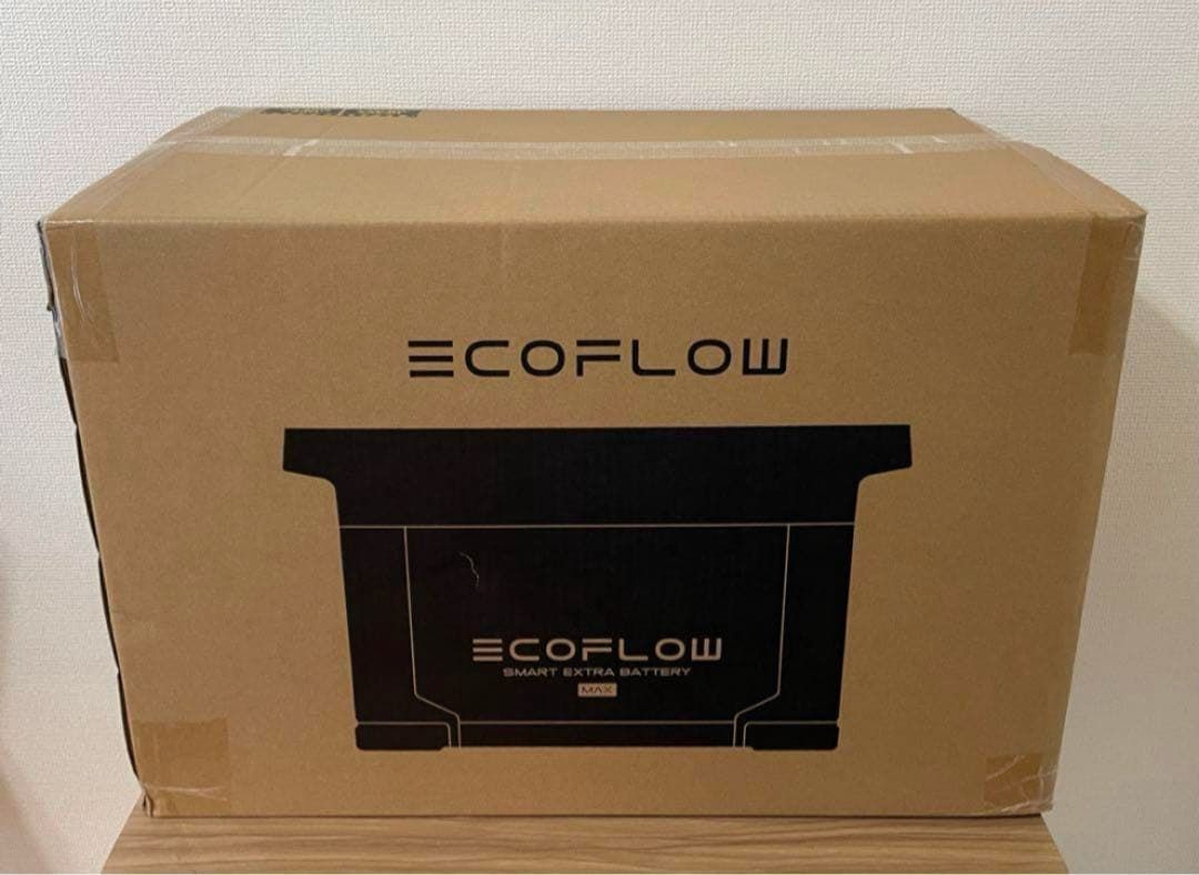 EcoFlow DELTA 2 Max専用エクストラバッテリー - メルカリ