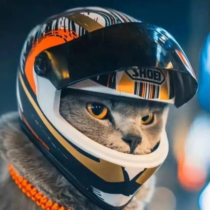 ペットヘルメット 小型ペット 犬 猫 ヘルメットペット 用 ヘルメット トラベル猫 ヘルメット 犬猫帽子 小さな犬ヘルメット 毎日の旅行の使用 オートバイのヘルメット ペットミニヘルメット 記念撮影 ペット用 お出かけ用品 オートバイ用 犬のヘルメット