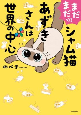 あずきさん専用 シャム猫あずきあずきさんの癒しの瞬間シリーズブラインドボックス