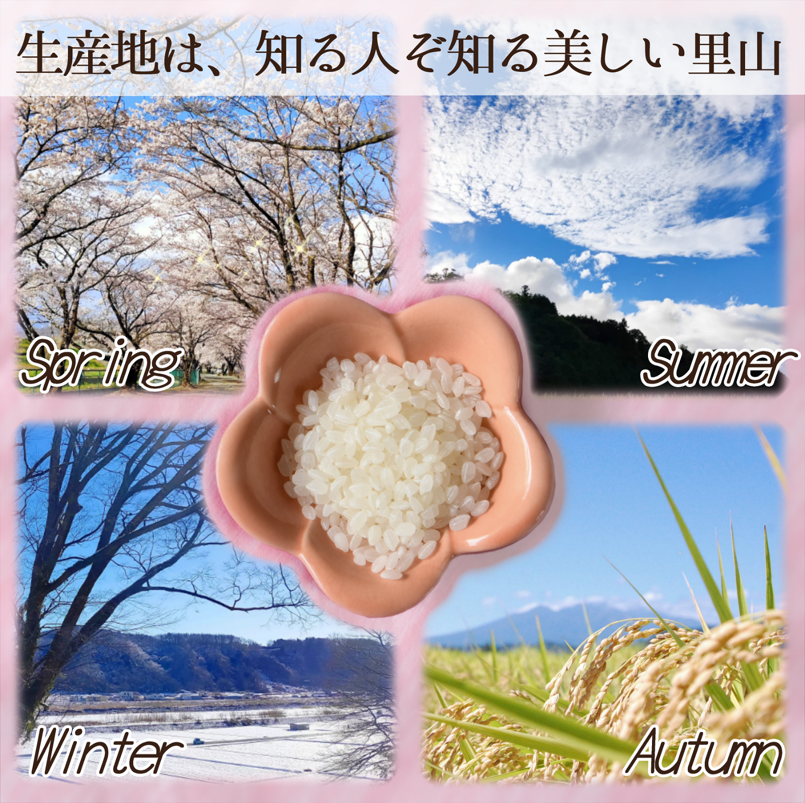 武川米コシヒカリ（精米）10㎏