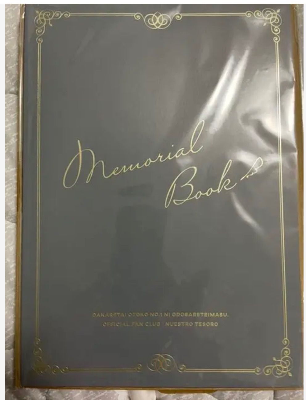 ▲01)【同梱不可】Insects of Surinam/Die Insekten Surinams/スリナムの昆虫/洋書/デザイン/Taschen/A △01)Insects of Surinam/Die Insekten Surinams/スリナムの昆虫