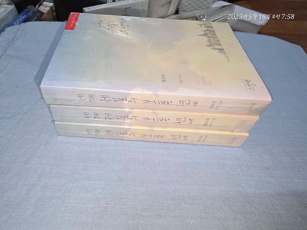 お取り引き中です。 世界 最高の 通常の関係 ボラボラ (中級) ロマンス小説