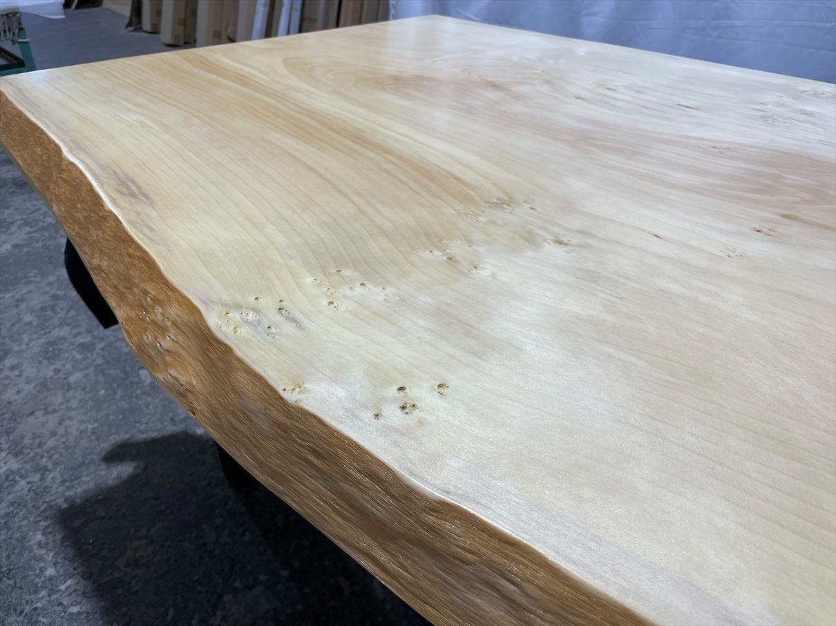 イチョウ3656 銀杏 一枚板無垢 乾燥材 1480x760-900-810x50mm