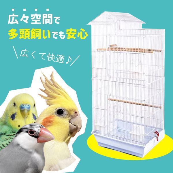 多頭飼い 複数飼い