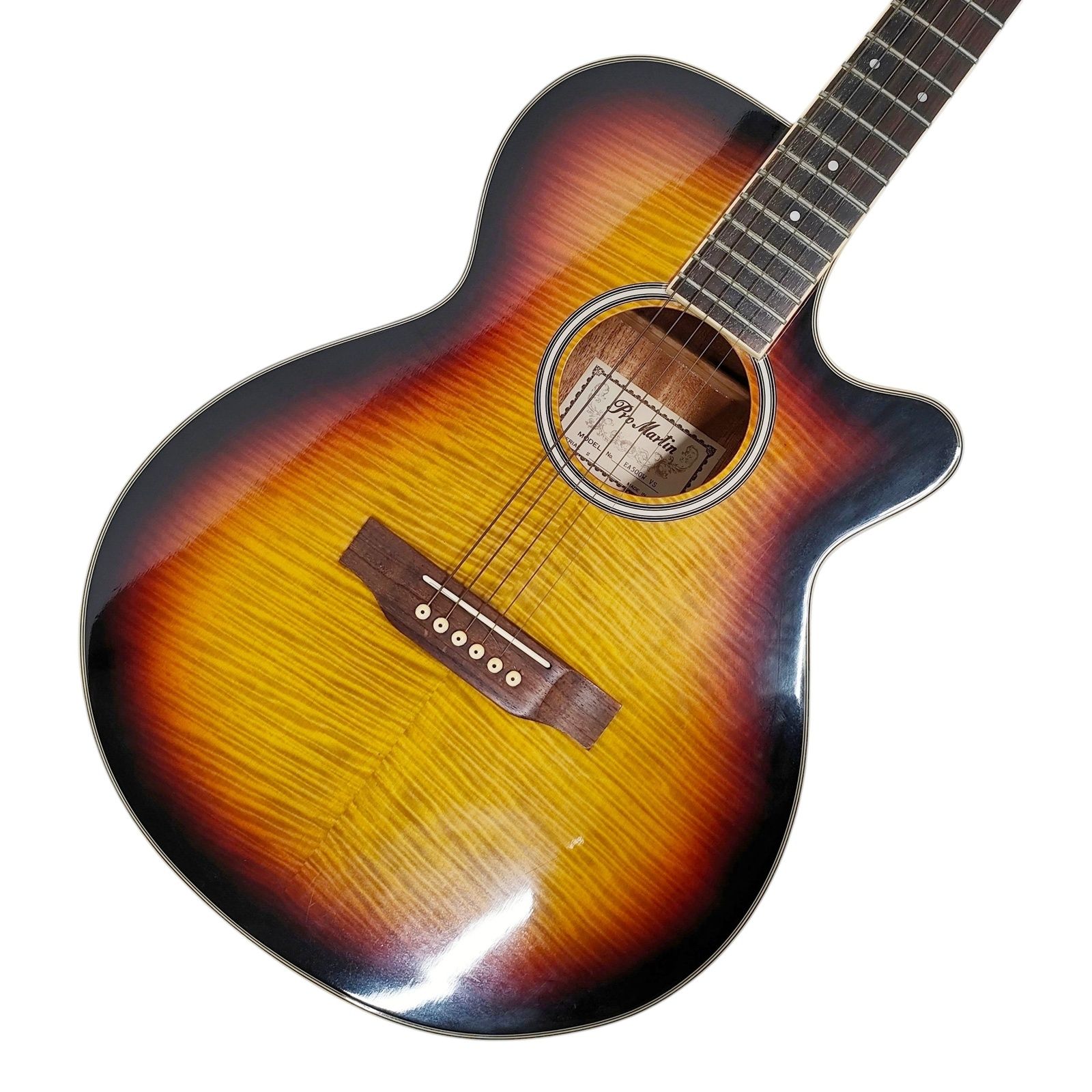 Pro Martin エレアコ EA500W VS アコギ アコースティック ギター