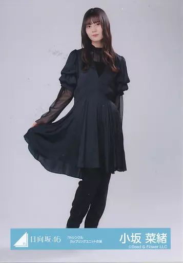 な*な様 坂道シリーズ 生写真 約5000枚！ 大量セット売り！ 乃木坂46 OFFICIAL WEB SHOP | 乃木坂46 グッズ通販サイト