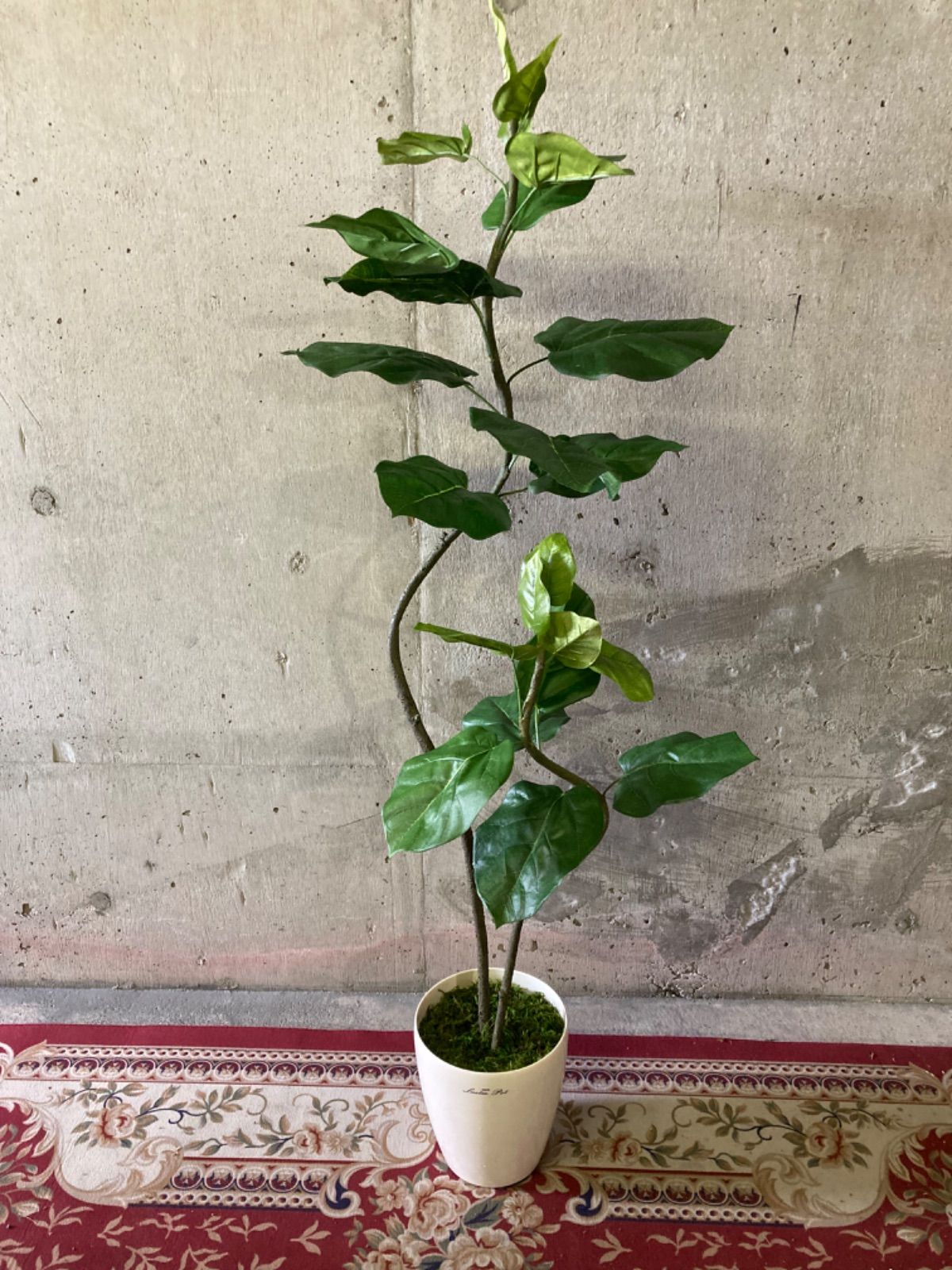 光触媒 人工観葉植物 ウォールグリーン フェイクグリーン エリーナ ...