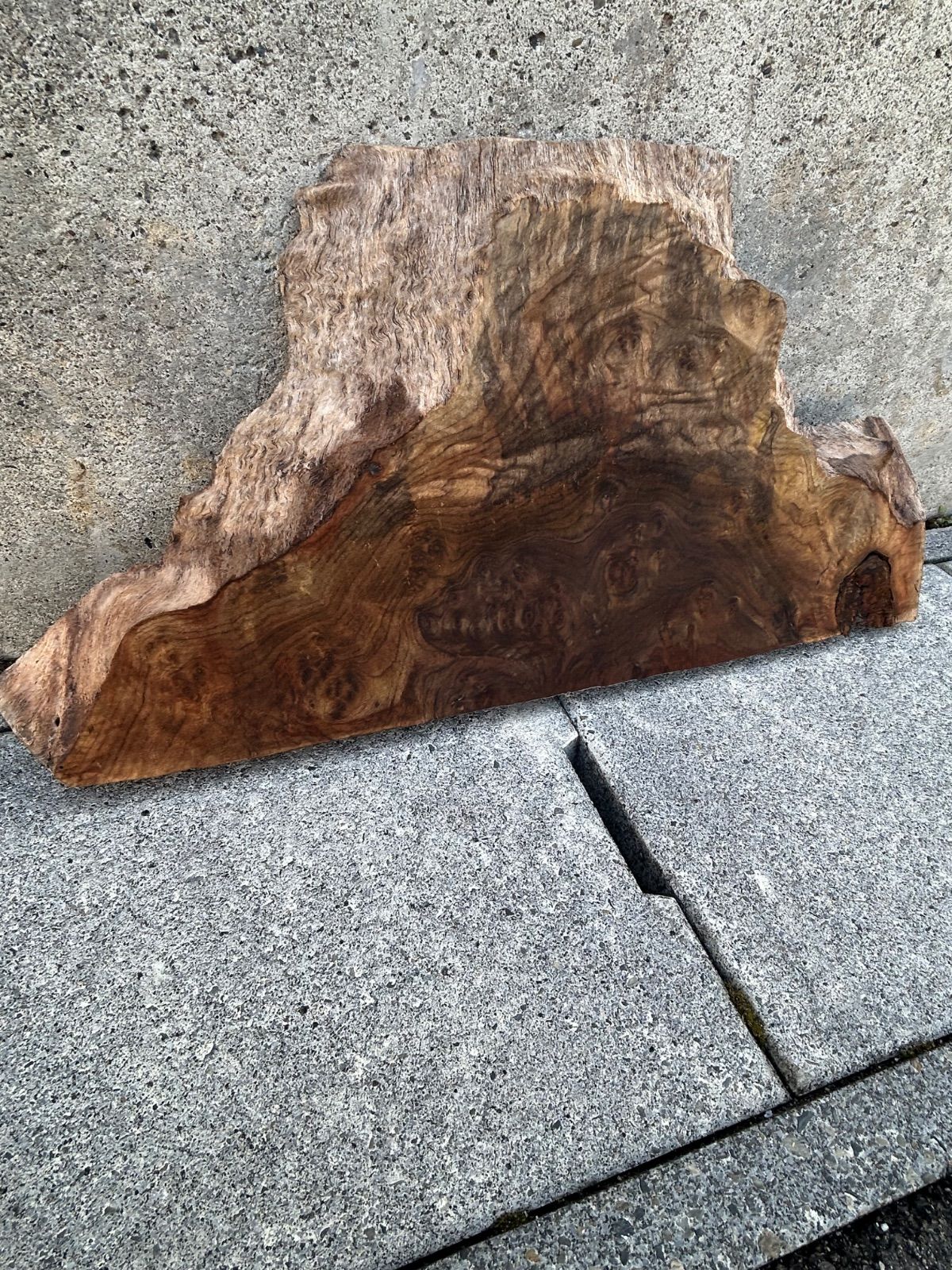 材 クラロウォルナット 瘤杢 板 一枚板 無垢材 木工 ＤＩＹ 素材