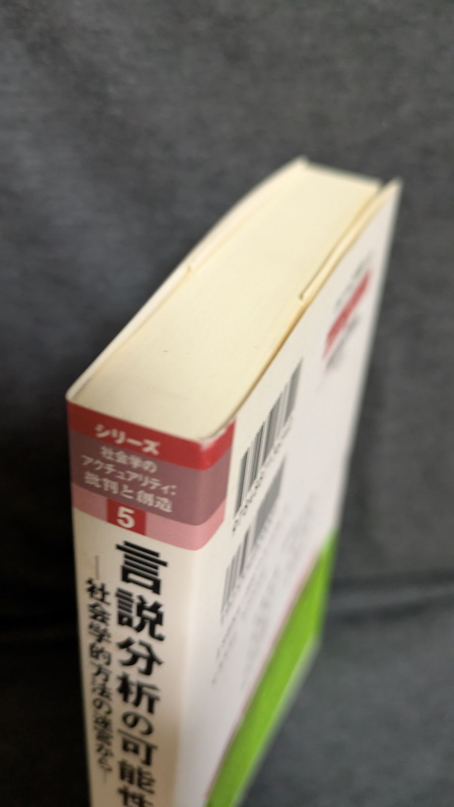言説分析の可能性 : 社会学的方法の迷宮から 言説分析の可能性 社会学的方法の迷宮から/東信堂/佐藤俊樹