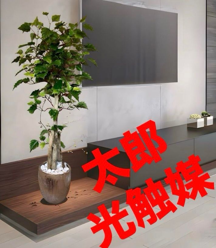 光触媒 人工観葉植物 ウォールグリーン フェイクグリーン 白樺 【公式