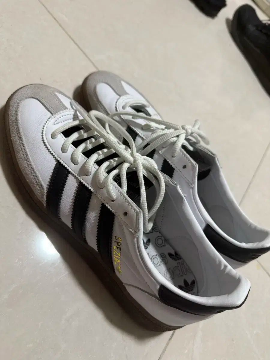 adidas(アディダス) スペツィアル 260