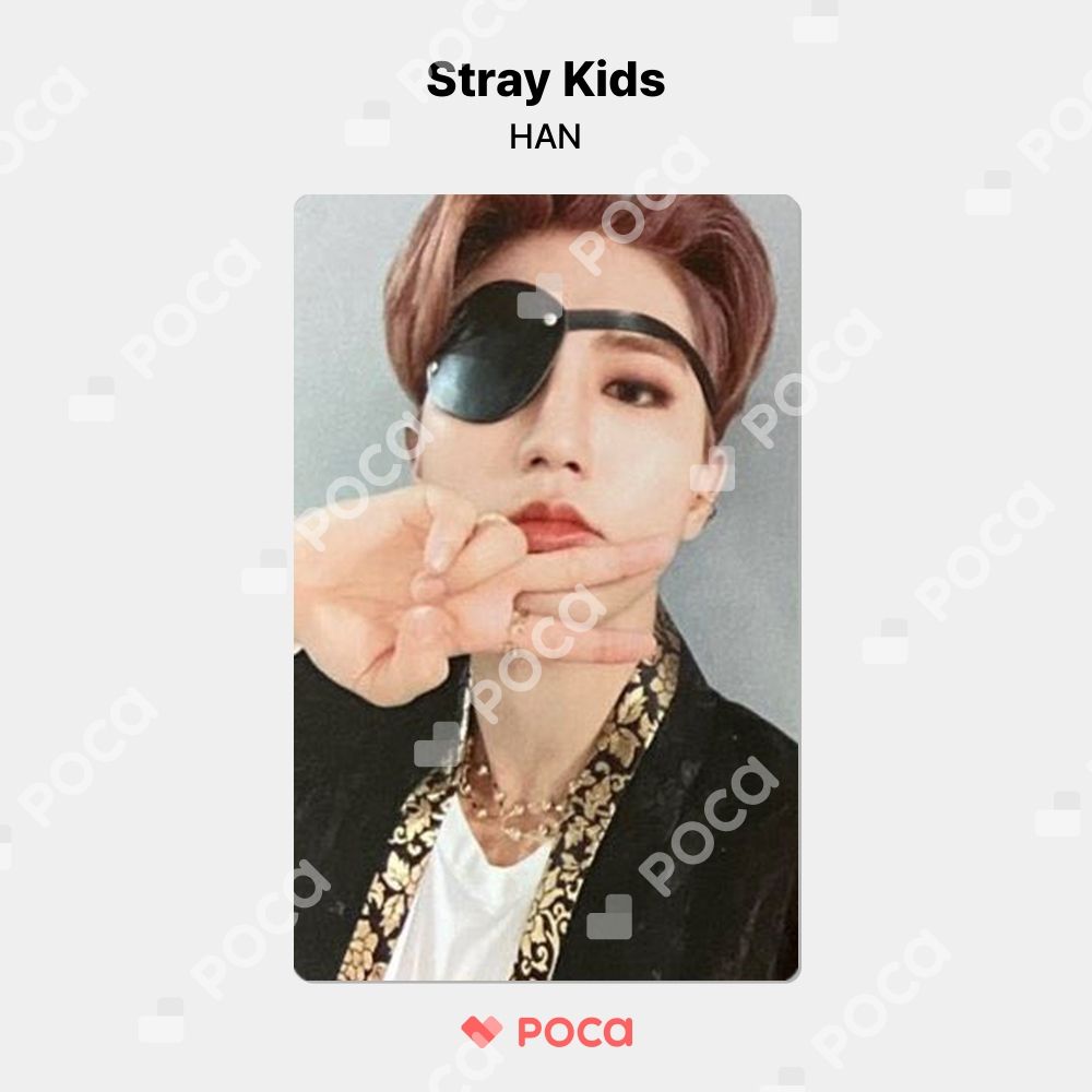 Straykids スキズ NOEASY subk ハン トレカ ハン ジソン スキズ トレカ 花 straykids NOEASY - メルカリ