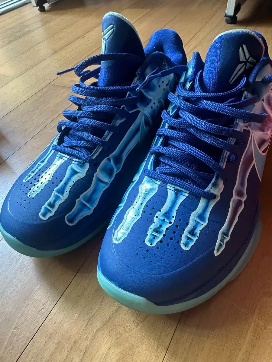 ナイキ コービー5 エクスレイ バスケシューズ 270