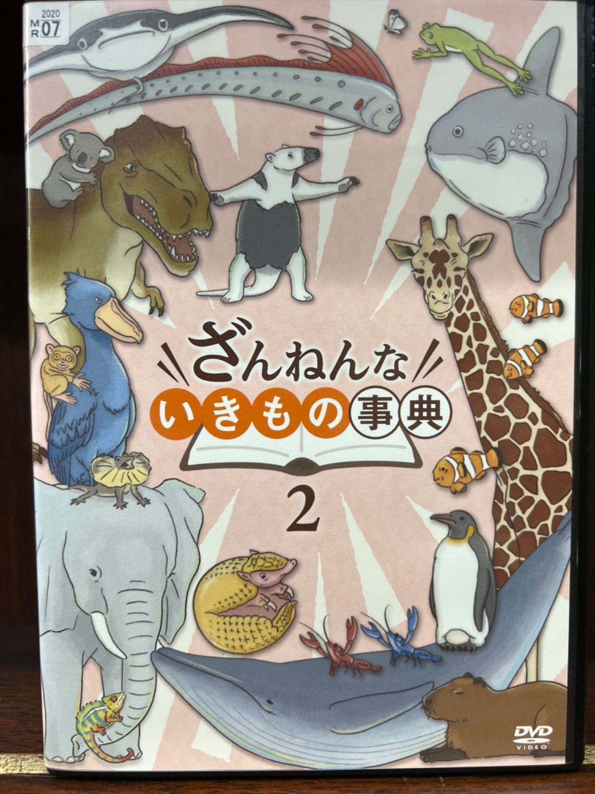 ざんねんないきもの DVD ２作品 レンタル落ち - ブルーレイ