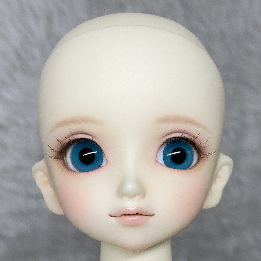 コーディネートモデル