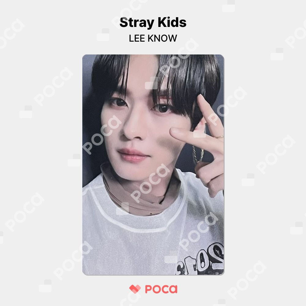 StrayKids スキズ INLIFE IN生 リノ トレカ mmt 特典 straykids リノ