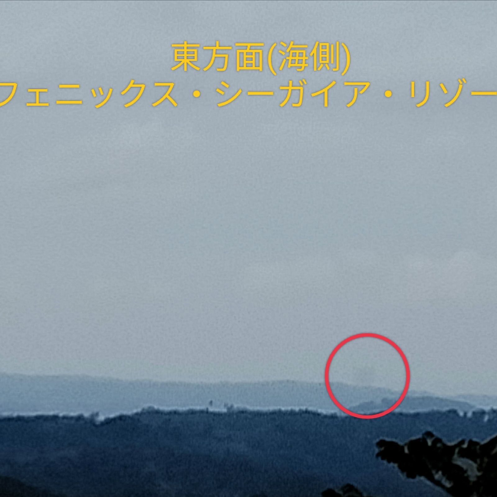 250g　B品　宮崎県産　訳あり品　割り干し大根《初めてのハリハリ漬けなどにいかがですか(^^)》-7