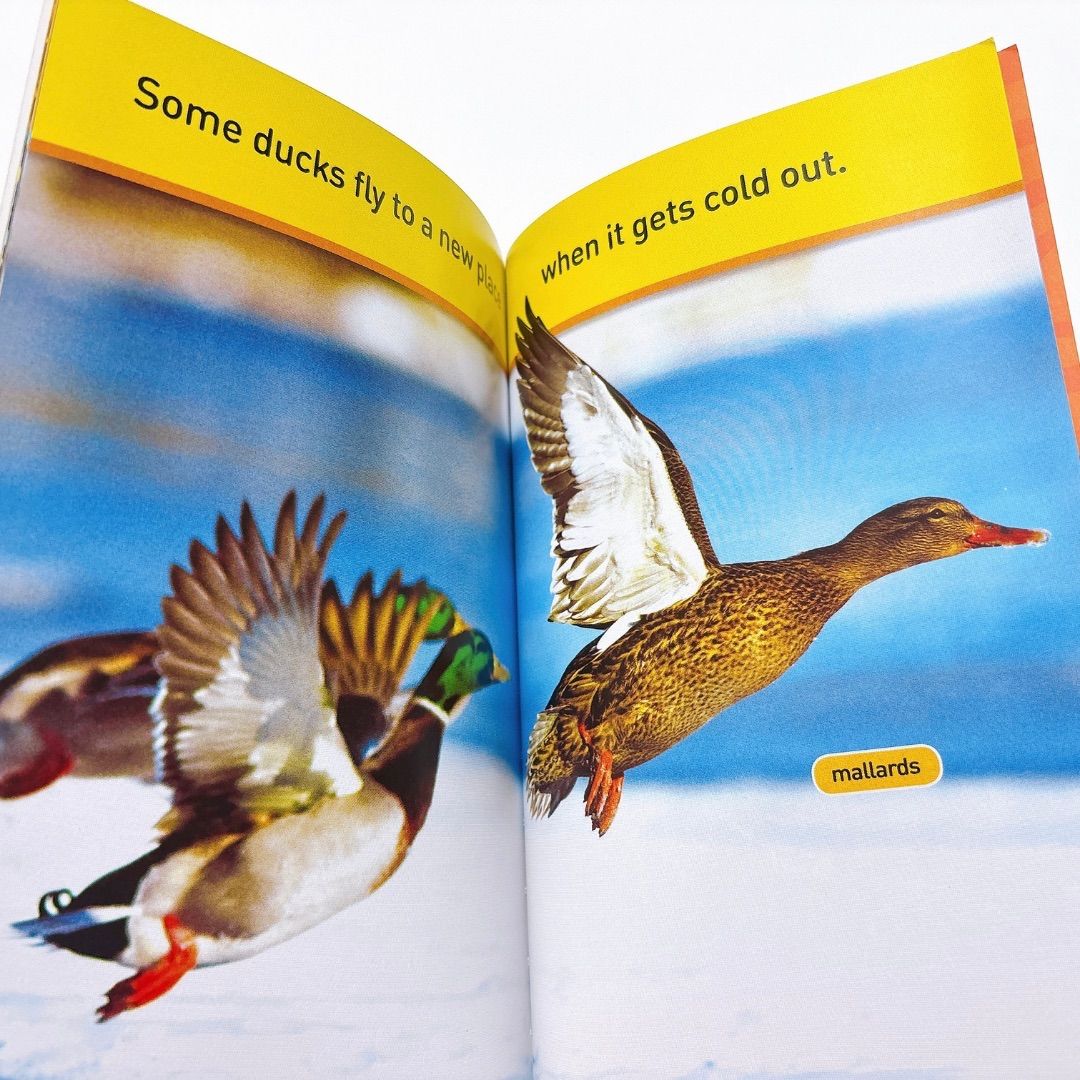 ナショジオ 児童書