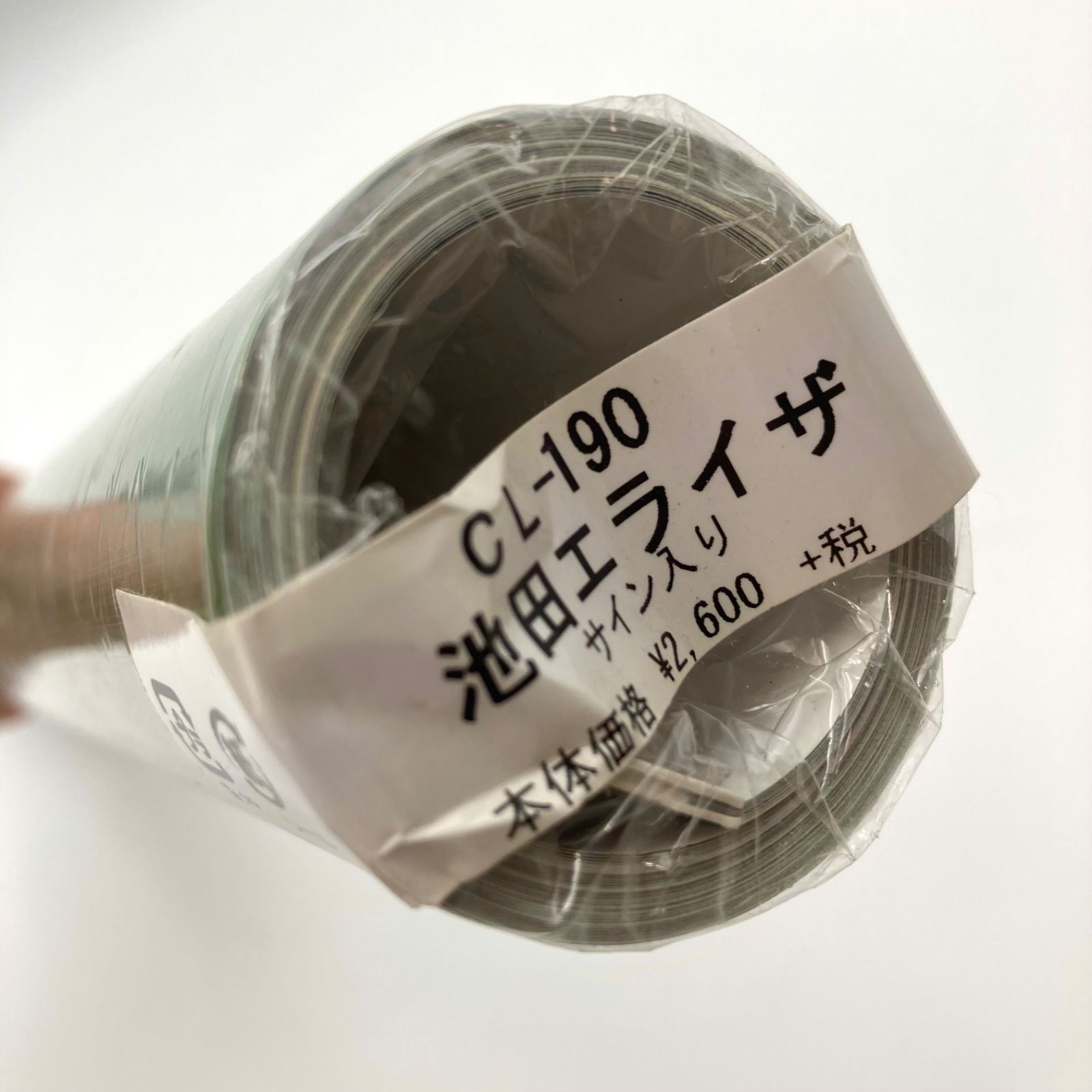 激レア【新品】池田エライザ 2019 カレンダー ポスター サイン