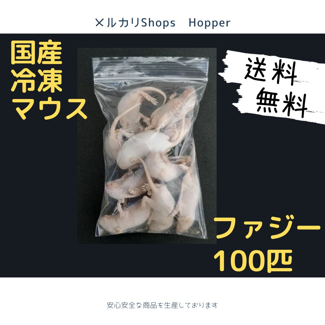 国産 冷凍マウス ファジー 100匹 - Hopper - メルカリ