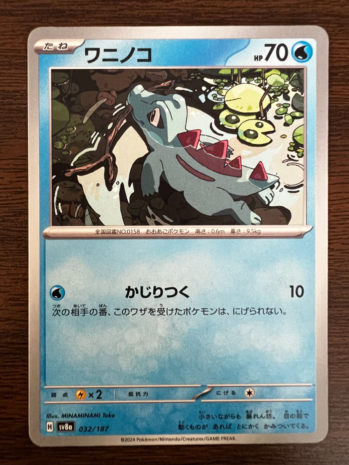 5Cテラスザーク 5Cテラスザーク 5Cテラスザーク