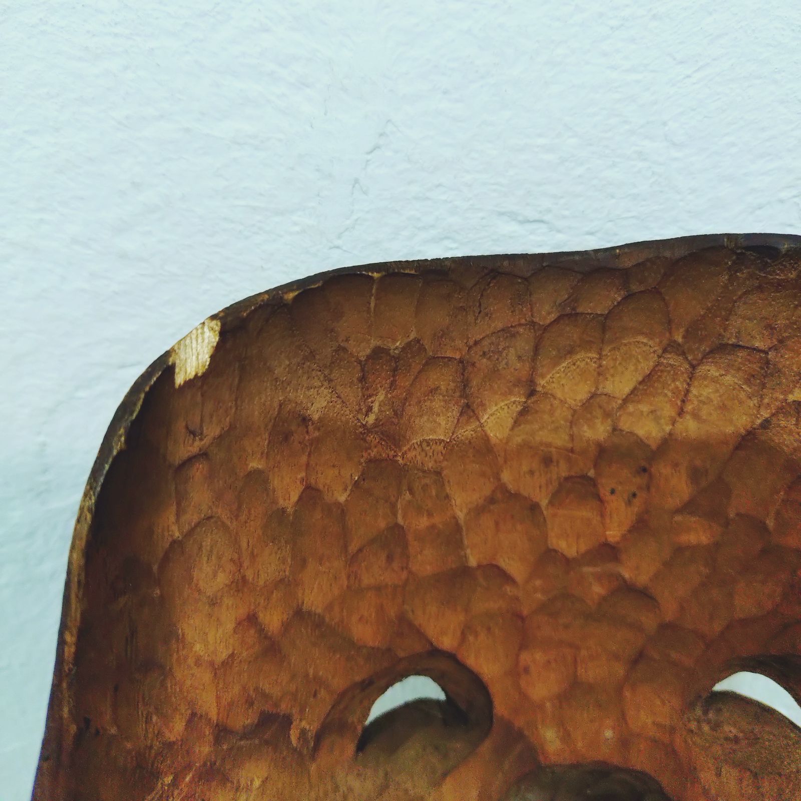 ひょっとこもどき