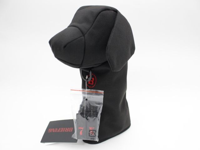 ブリーフィング