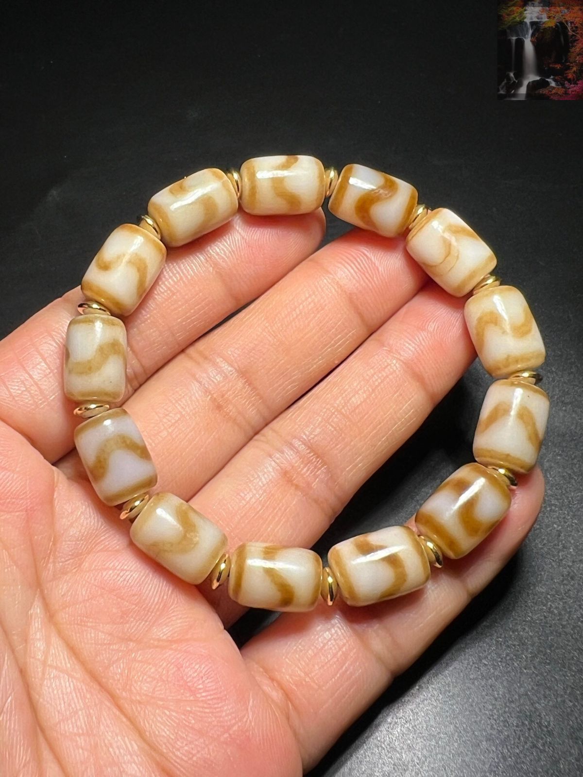 旧家蔵出し 瑪瑙細密彫 自然風化紋 虎牙天珠 根付 手串 裝身