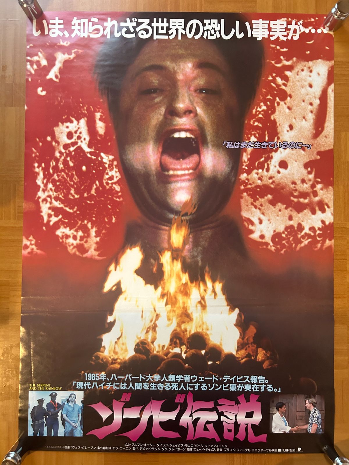 「ゾンビ」劇場公開版Ｂ２サイズポスター（非売品・新品） Amazon.co.jp: 映画オリジナルポスター ゾンビ B2 ジョージA