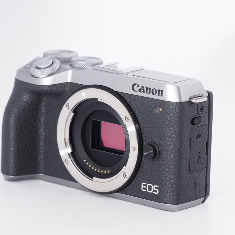 Canon EOS M6 Mark II 4点セット