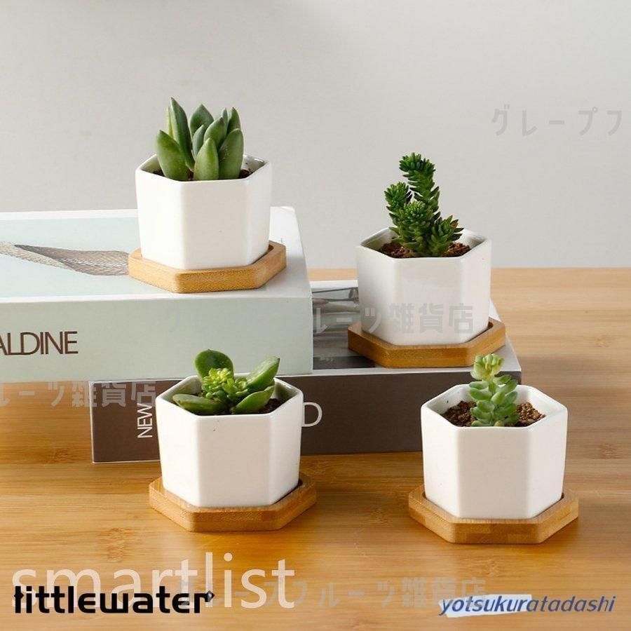 楽天市場】ミニ プランター 植木鉢 多肉植物鉢 2個セット サボテン鉢  