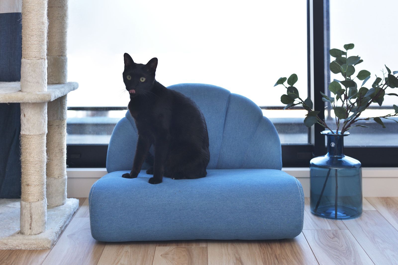 本州送料無料 ペットソファ ペットハウス ソファ ブルー インテリア 傷防止フェルト W59×D50×H40×SH18