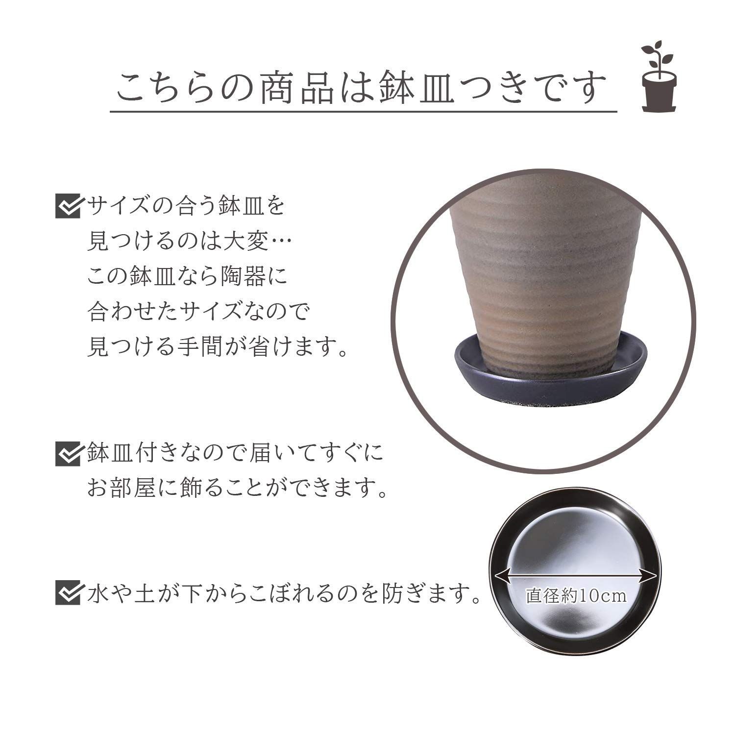 ミニ観葉植物 ミニ