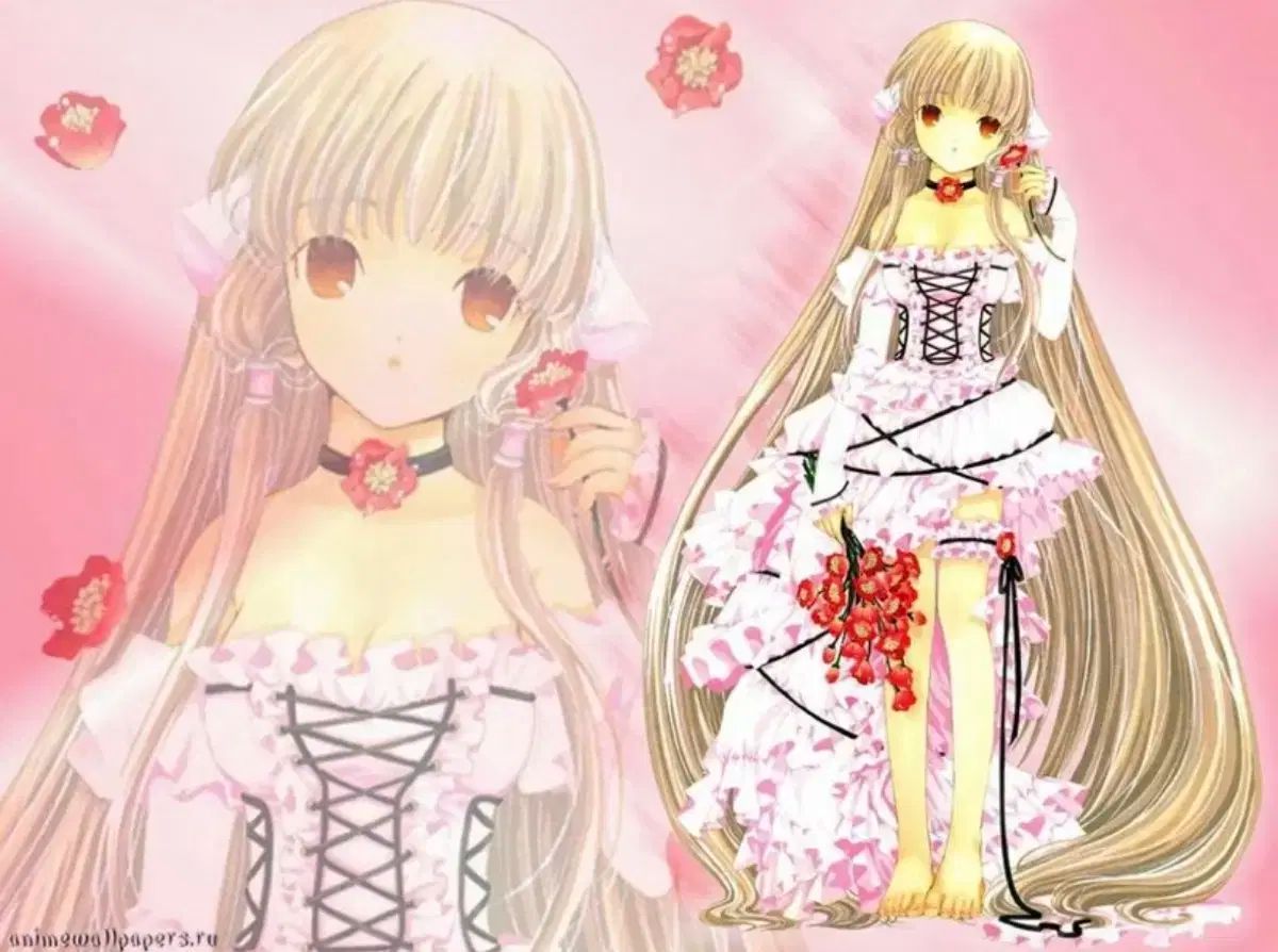 Dハロ シーハニ 女海賊 パイレーツ Dハロ シーハニ 女海賊 パイレーツ コスチューム・コスプレ