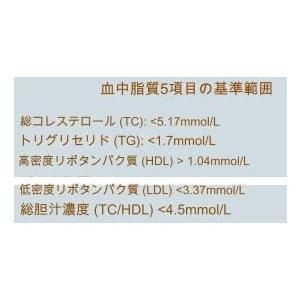 高密度リポタンパク質 血中脂質検査