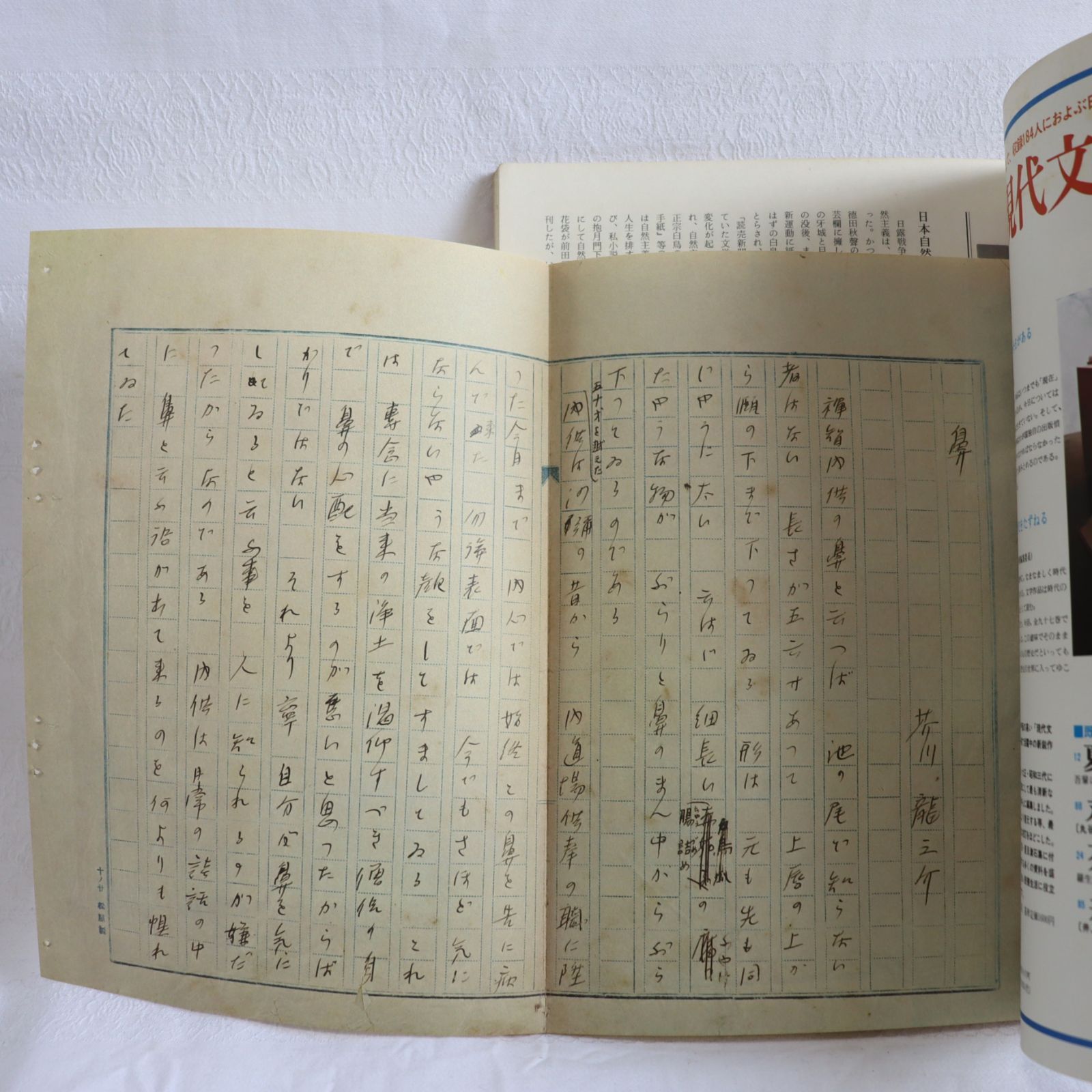別冊太陽　近代文学百人