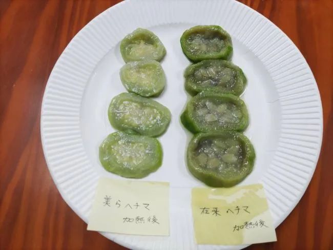 沖縄産　新鮮美らヘチマ 沖縄の新品種ヘチマ「美らへちま」4kg - メルカリ